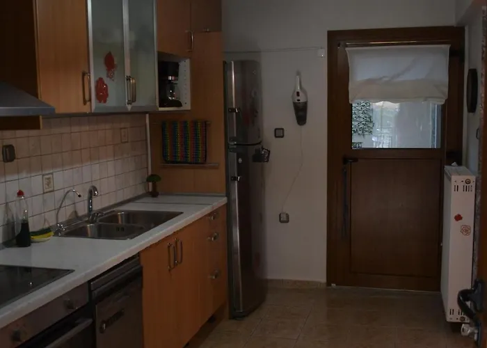 公寓 Oikia Samiotaki Emmanouil